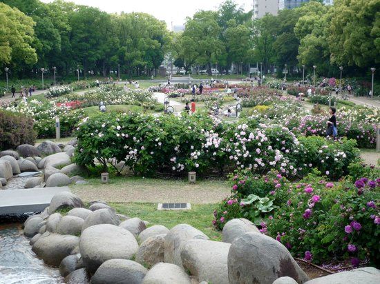Utsubo-parken